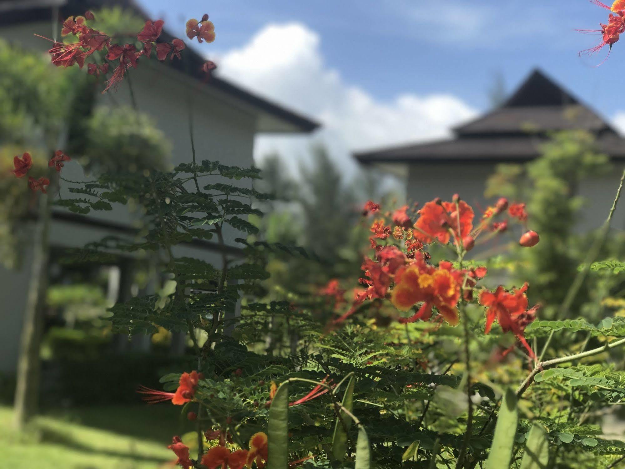 The Hip Resort @ Khao Lak Bang Sak Bagian luar foto